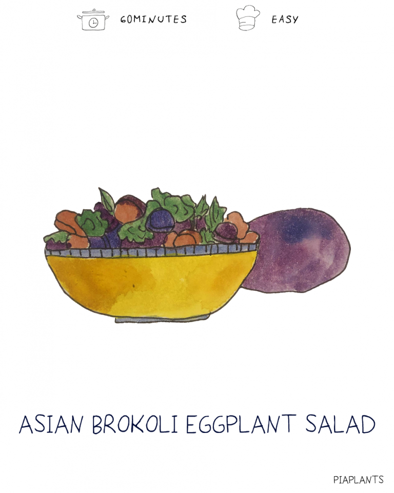 Asiatischer Brokkoli-Auberginen Salat